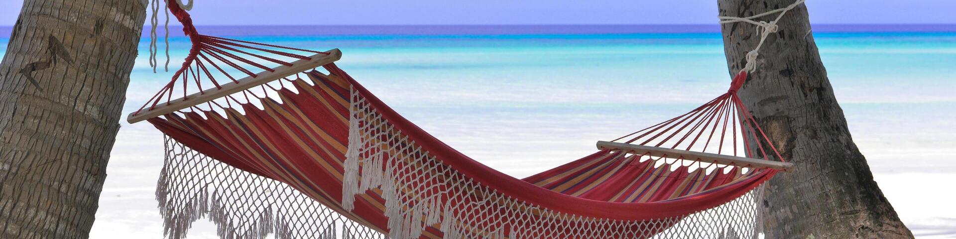 Hammock