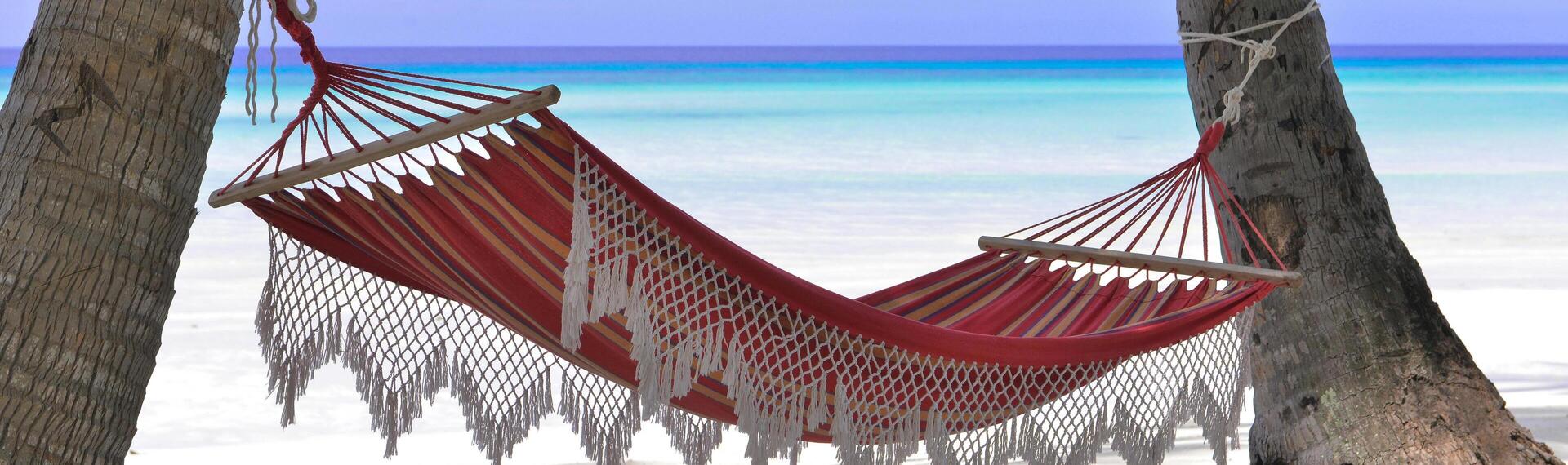 Hammock